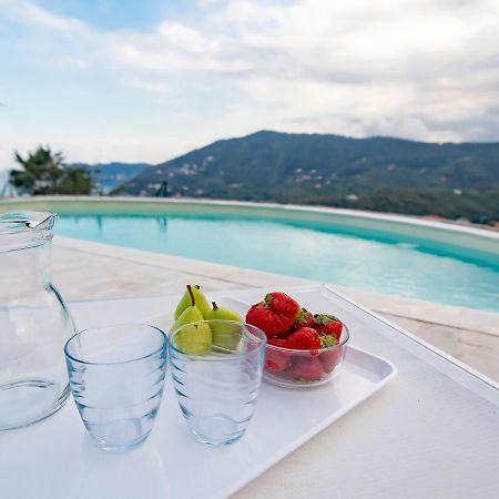 Villa Hanbury With Swimming Pool And Parking In 阿拉西奥 外观 照片